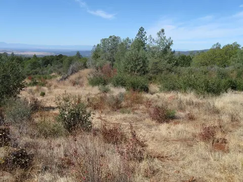 31720 Hazen Rd, Manton, CA 96059 photo 15