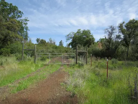 31720 Hazen Rd, Manton, CA 96059 photo 2