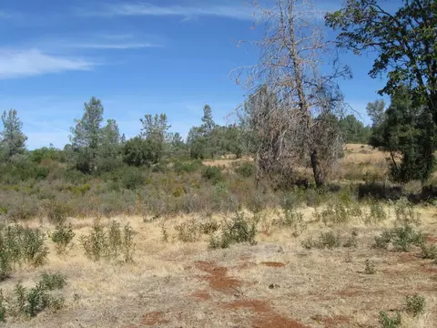 31720 Hazen Rd, Manton, CA 96059 photo 22