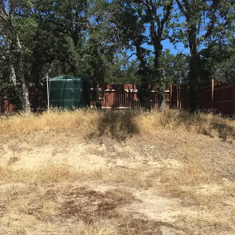 6809 Silver Spur Dr, Corning, CA 96021 photo 4