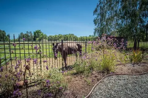 3339 Dodson Ln, Anderson, CA 96007 photo 33
