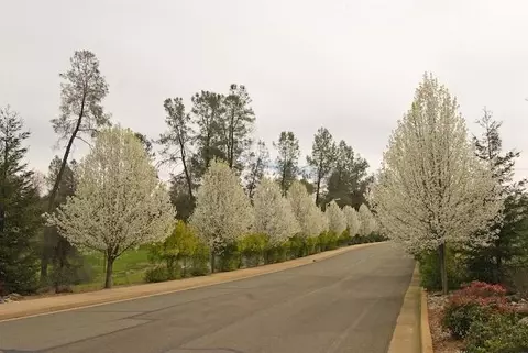 13325 Tierra Heights Rd, Redding, CA 96003 photo 4