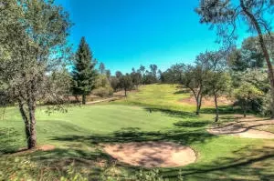 13325 Tierra Heights Rd, Redding, CA 96003 photo 9