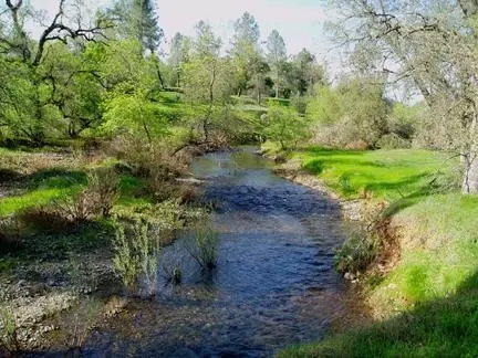 13325 Tierra Heights Rd, Redding, CA 96003 photo 10