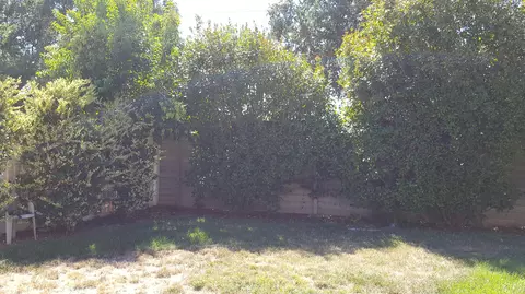 3718 Vinewood Dr, Anderson, CA 96007 photo 15