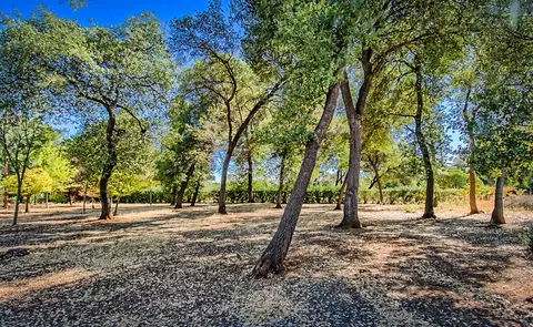 1500 Gordon Ln, Redding, CA 96002 photo 41