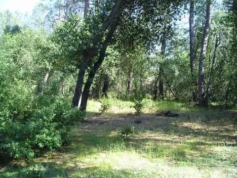 13354 Kings Way, Redding, CA 96003 photo 13