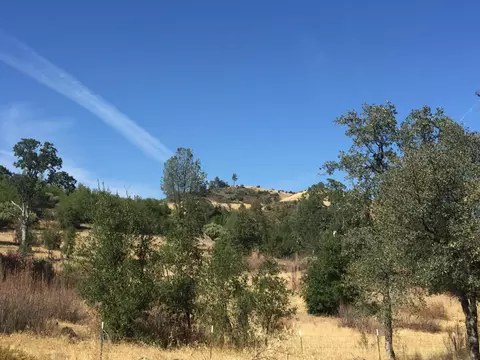 22333 Jones Valley Trl, Redding, CA 96003 photo 3