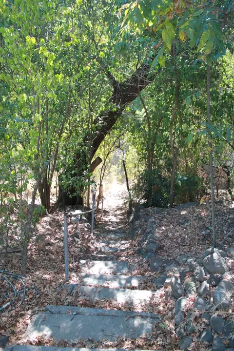 1159 Oak St, Red Bluff, CA 96080 photo 12