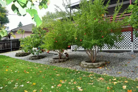 2047 Wicklow St, Redding, CA 96001 photo 50