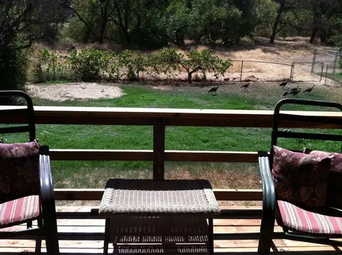 1145 Aloha, Red Bluff, CA 96080 photo 8