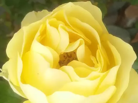 3055 Rush Creek Ct, Redding, CA 96002 photo 4