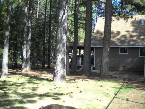 20065 Bartel St, Burney, CA 96013 photo 22