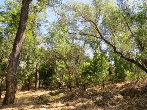 21975 S Wallen Rd, Red Bluff, CA 96080 photo 42