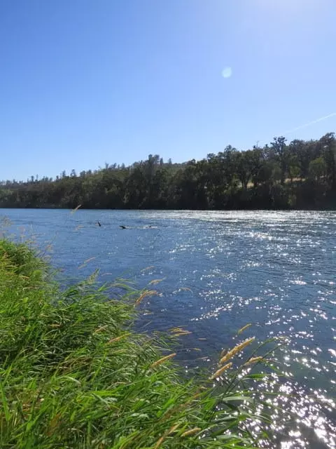 21975 S Wallen Rd, Red Bluff, CA 96080 photo 37