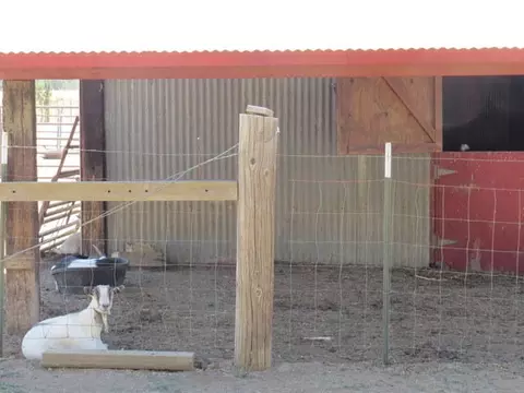 21975 S Wallen Rd, Red Bluff, CA 96080 photo 26