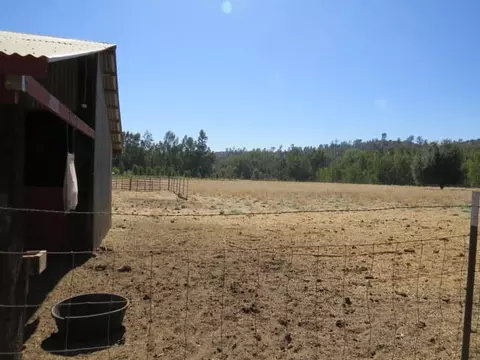21975 S Wallen Rd, Red Bluff, CA 96080 photo 41