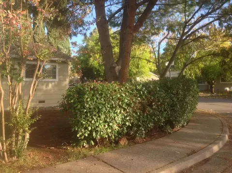 3959 Virgo St, Redding, CA 96002 photo 5