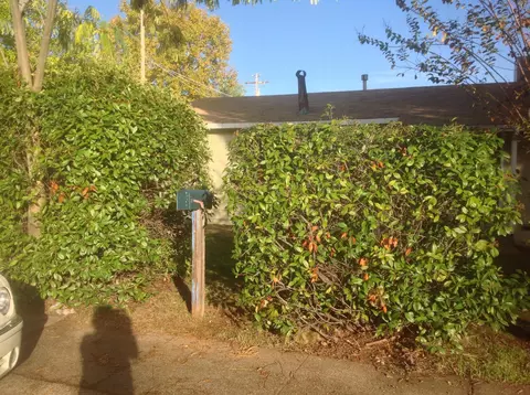 3959 Virgo St, Redding, CA 96002 photo 6