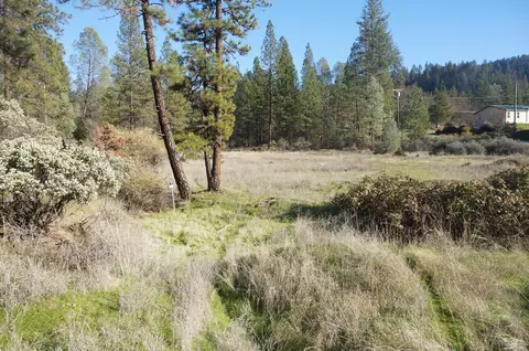 161 Ransom Rd, Weaverville, CA 96093 photo 6