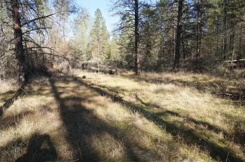 161 Ransom Rd, Weaverville, CA 96093 photo 9