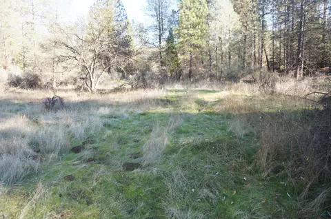 161 Ransom Rd, Weaverville, CA 96093 photo 10