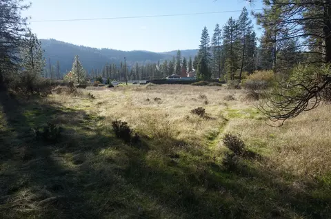 161 Ransom Rd, Weaverville, CA 96093 photo 12
