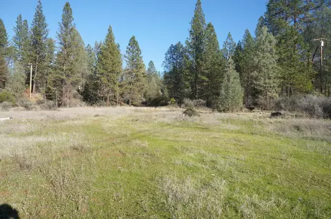 161 Ransom Rd, Weaverville, CA 96093 photo 7