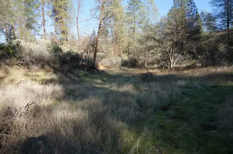 161 Ransom Rd, Weaverville, CA 96093 photo 11