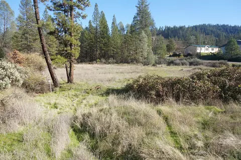 161 Ransom Rd, Weaverville, CA 96093 photo 5