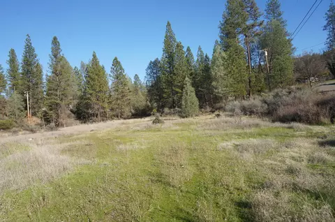 161 Ransom Rd, Weaverville, CA 96093 photo 18