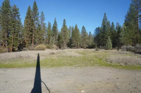 161 Ransom Rd, Weaverville, CA 96093 photo 4