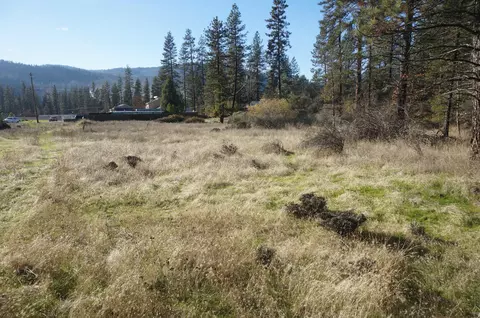 161 Ransom Rd, Weaverville, CA 96093 photo 14