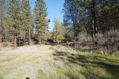 161 Ransom Rd, Weaverville, CA 96093 photo 8