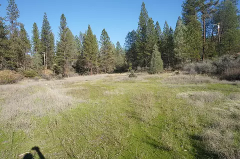 161 Ransom Rd, Weaverville, CA 96093 photo 17