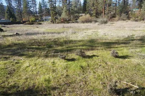 161 Ransom Rd, Weaverville, CA 96093 photo 15
