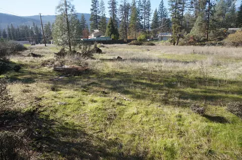 161 Ransom Rd, Weaverville, CA 96093 photo 16