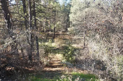 161 Ransom Rd, Weaverville, CA 96093 photo 21
