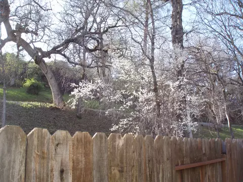 394 Mammoth Path, Redding, CA 96003 photo 6