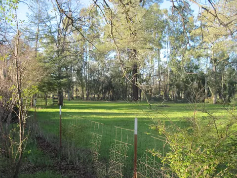 9980 Logan Rd, Redding, CA 96003 photo 29