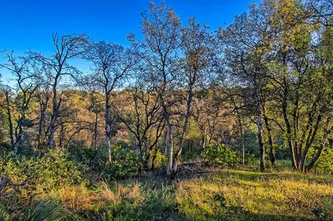 507 Royal Oaks Dr, Redding, CA 96001 photo 51