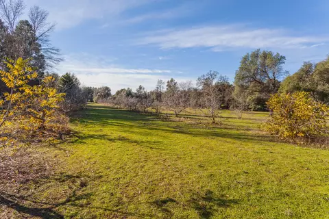 20950 Yogi Bear Ln, Redding, CA 96003 photo 6