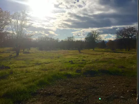 1900 Stetson, Redding, CA 96003 photo 10