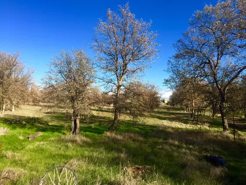 1900 Stetson, Redding, CA 96003 photo 2