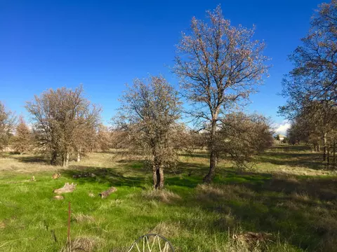 1900 Stetson, Redding, CA 96003 photo 3