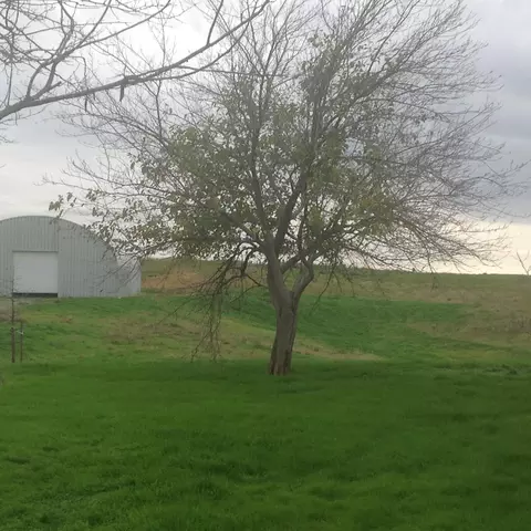 19705 Deer Valley Rd, Red Bluff, CA 96080 photo 39