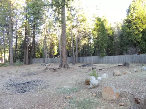 8233 Ritts Mill Rd, Shingletown, CA 96088 photo 13