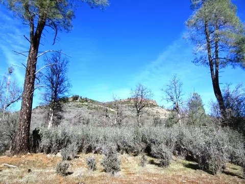 12470 Squirrel, Whitmore, CA 96096 photo 12