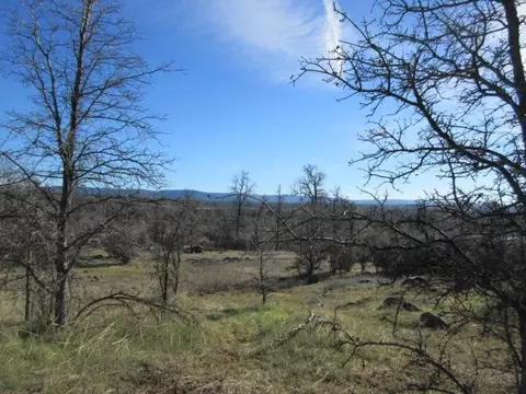 12470 Squirrel, Whitmore, CA 96096 photo 18