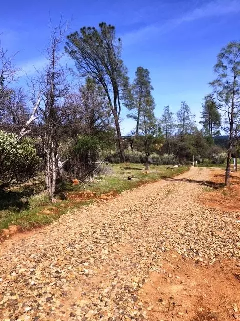 12470 Squirrel, Whitmore, CA 96096 photo 14